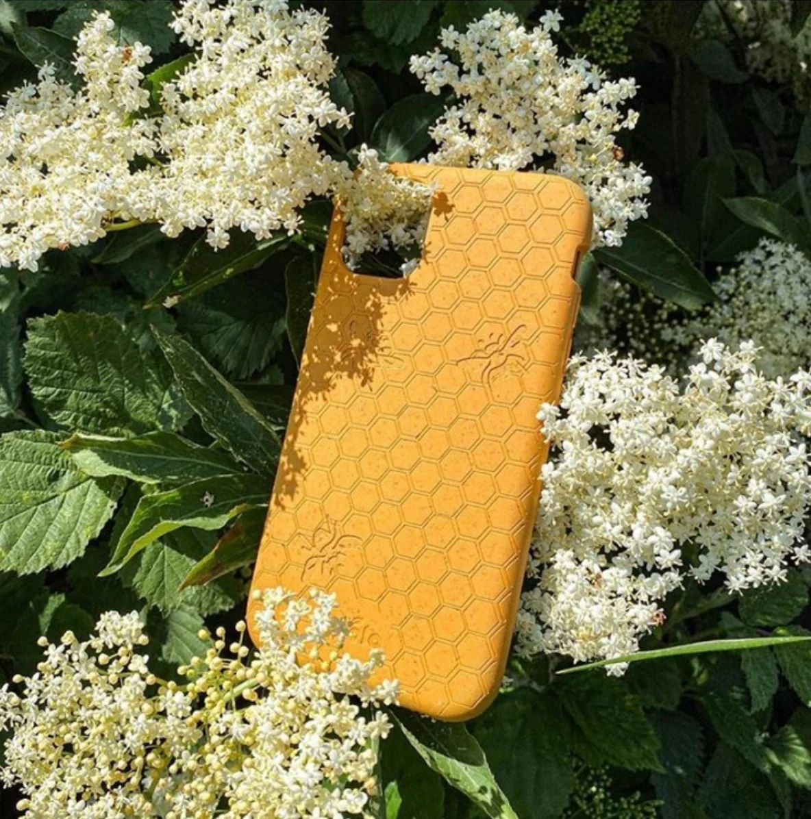 Honey (Bee Edition) iPhone 11 Pro Case - Image 5