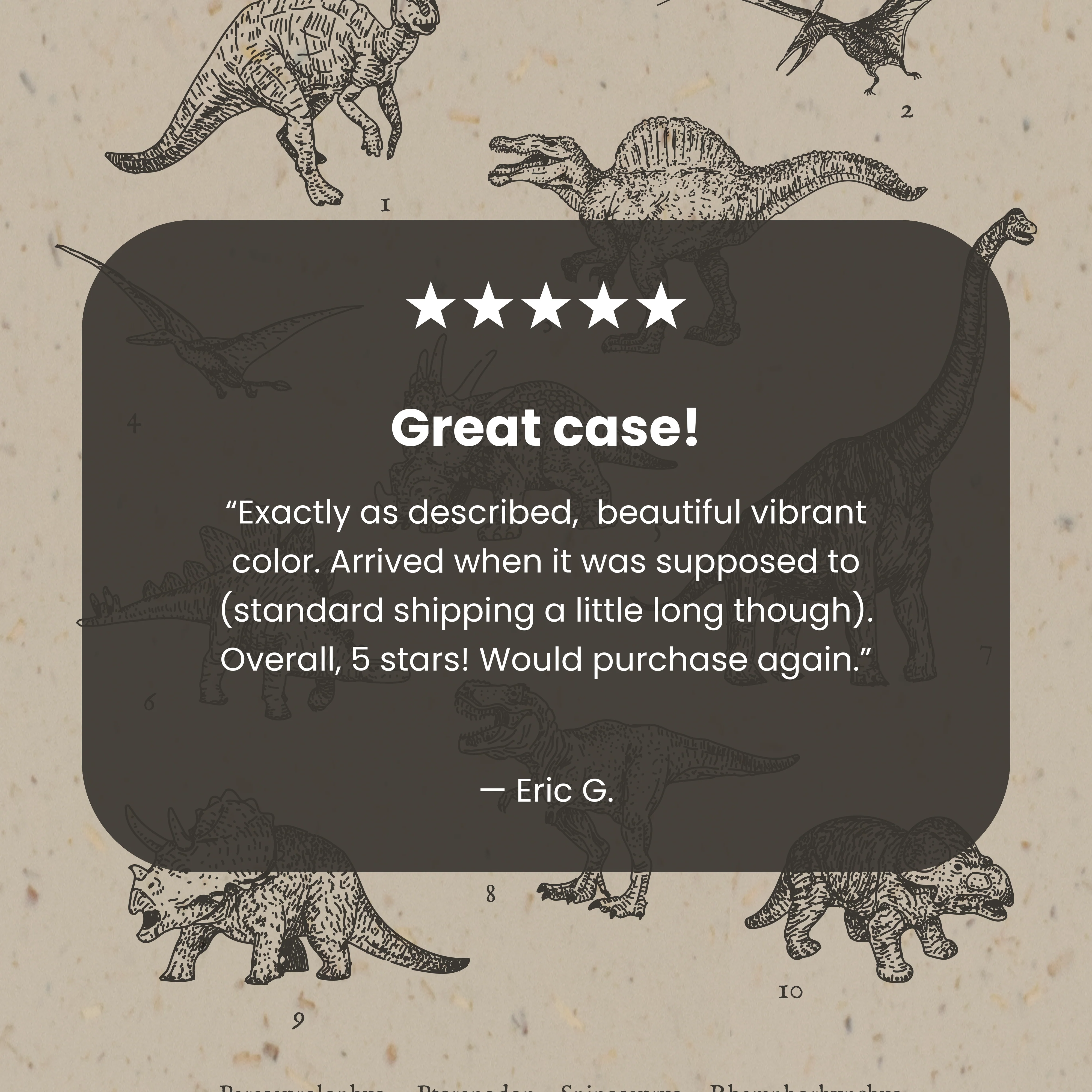 London Fog Dinosaurology Google Pixel 10/10 Pro Case - Image 3